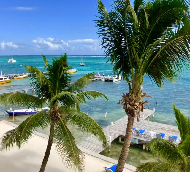 377D9F0B-A085-46C7-861F-FF4DA9CA2AF6