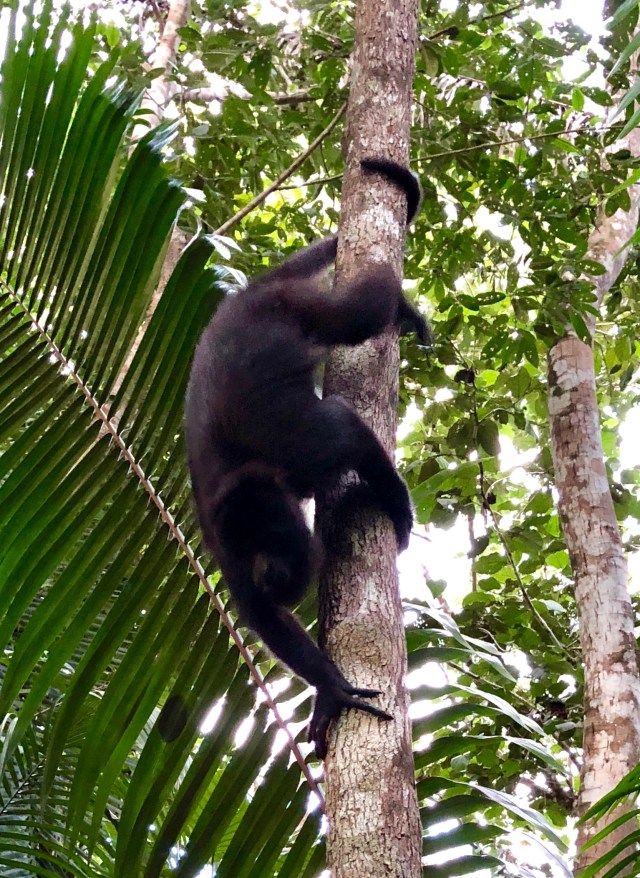 4C67590C-59C1-4058-B864-D629068DD9BD