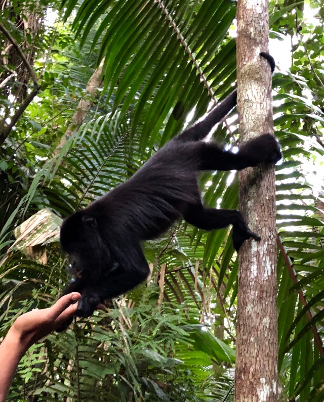 50E3B811-92FA-48BD-AFD0-689E154D521E