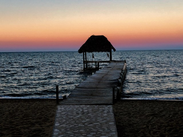 53DE6310-0820-407D-8B53-561785B5770D