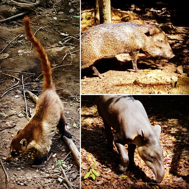 5C57788E-A822-4572-A0A4-1AA3728159F1