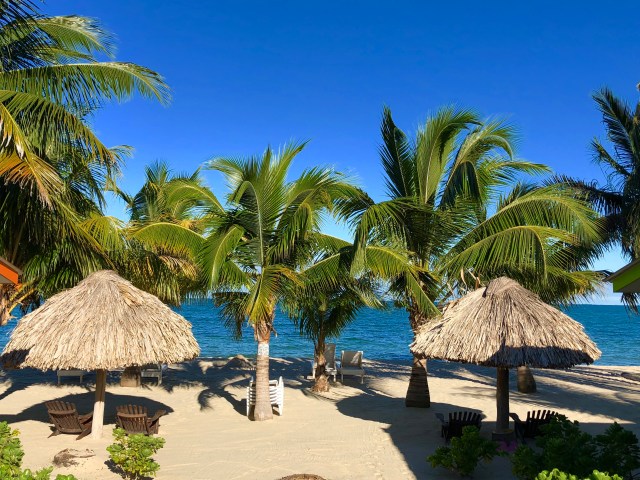 8E276C22-2F13-4EE7-8694-AE99FE909DFA