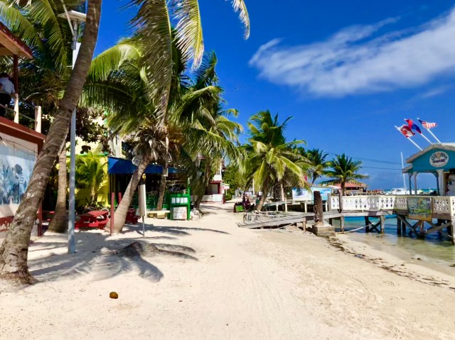 98289C5E-AE5B-4FE5-896D-54D2BE442F77