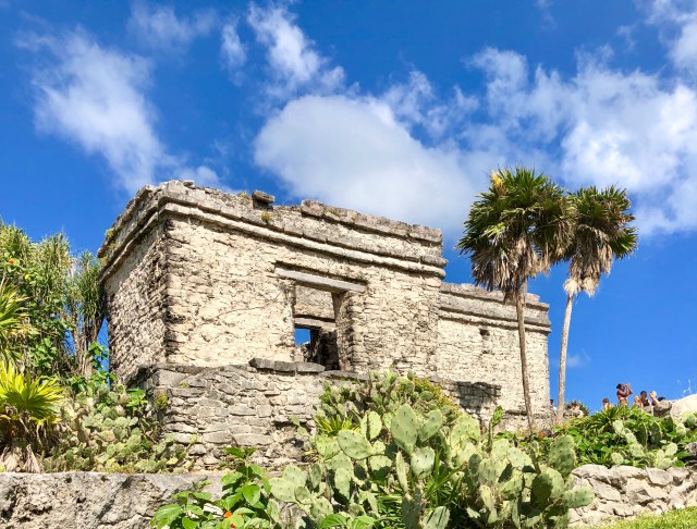 D4E9040A-3DA7-4484-80E9-DCDB56B389CE