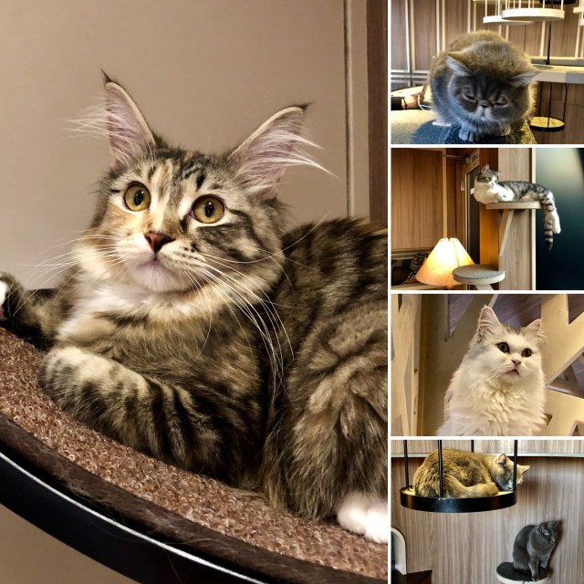 08994CF2-7C6F-4BA4-9F97-2B351F2BF3D0