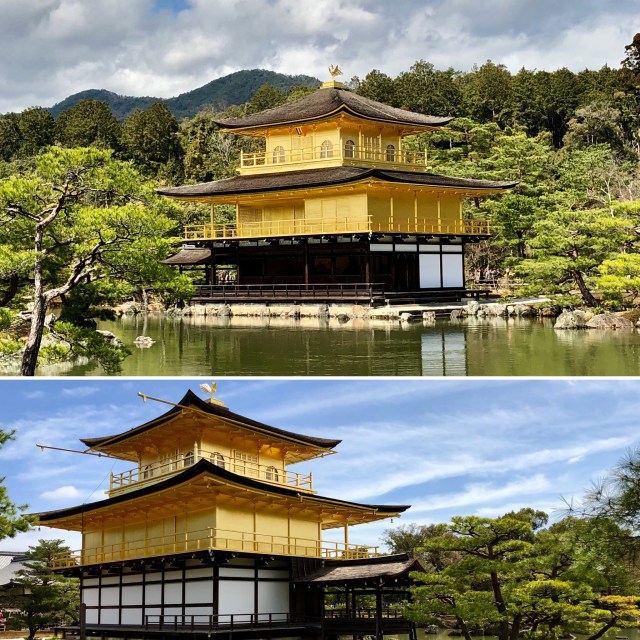 87B32FA0-8A2D-494F-9728-9A99C387A845